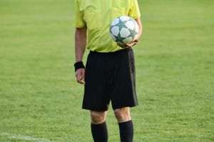 Superliga: Radu Petrescu arbitrează meciul CFR Cluj - Farul